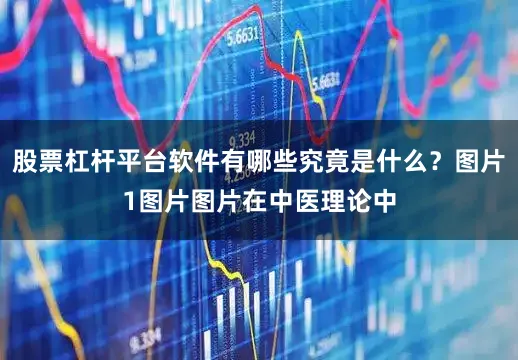 股票杠杆平台软件有哪些究竟是什么？图片1图片图片在中医理论中