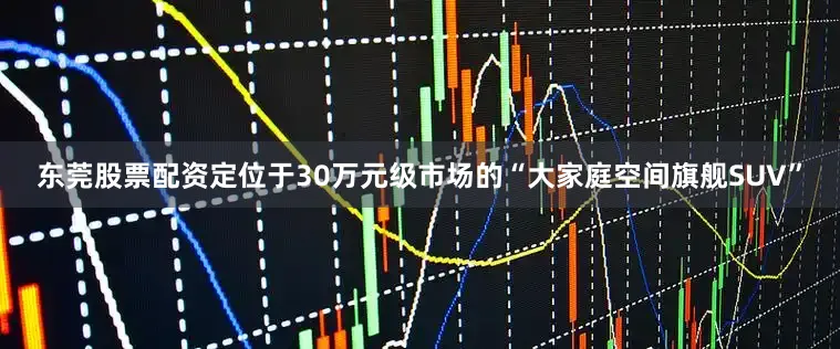 东莞股票配资定位于30万元级市场的“大家庭空间旗舰SUV”