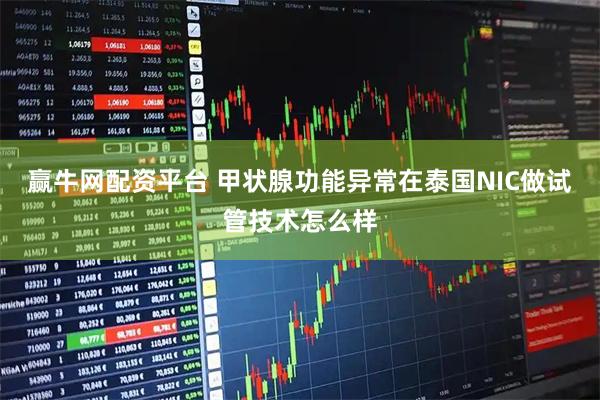 赢牛网配资平台 甲状腺功能异常在泰国NIC做试管技术怎么样