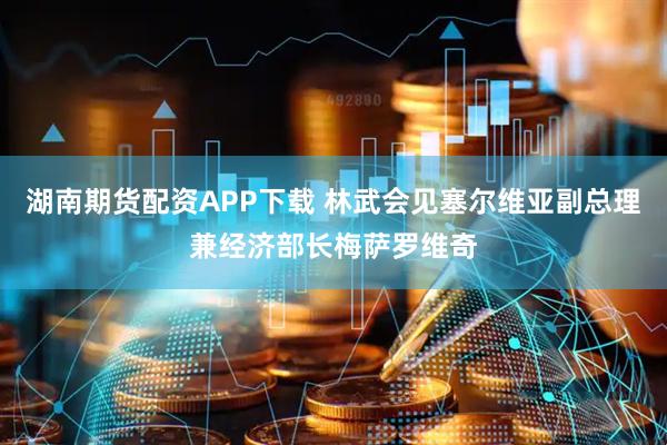 湖南期货配资APP下载 林武会见塞尔维亚副总理兼经济部长梅萨罗维奇